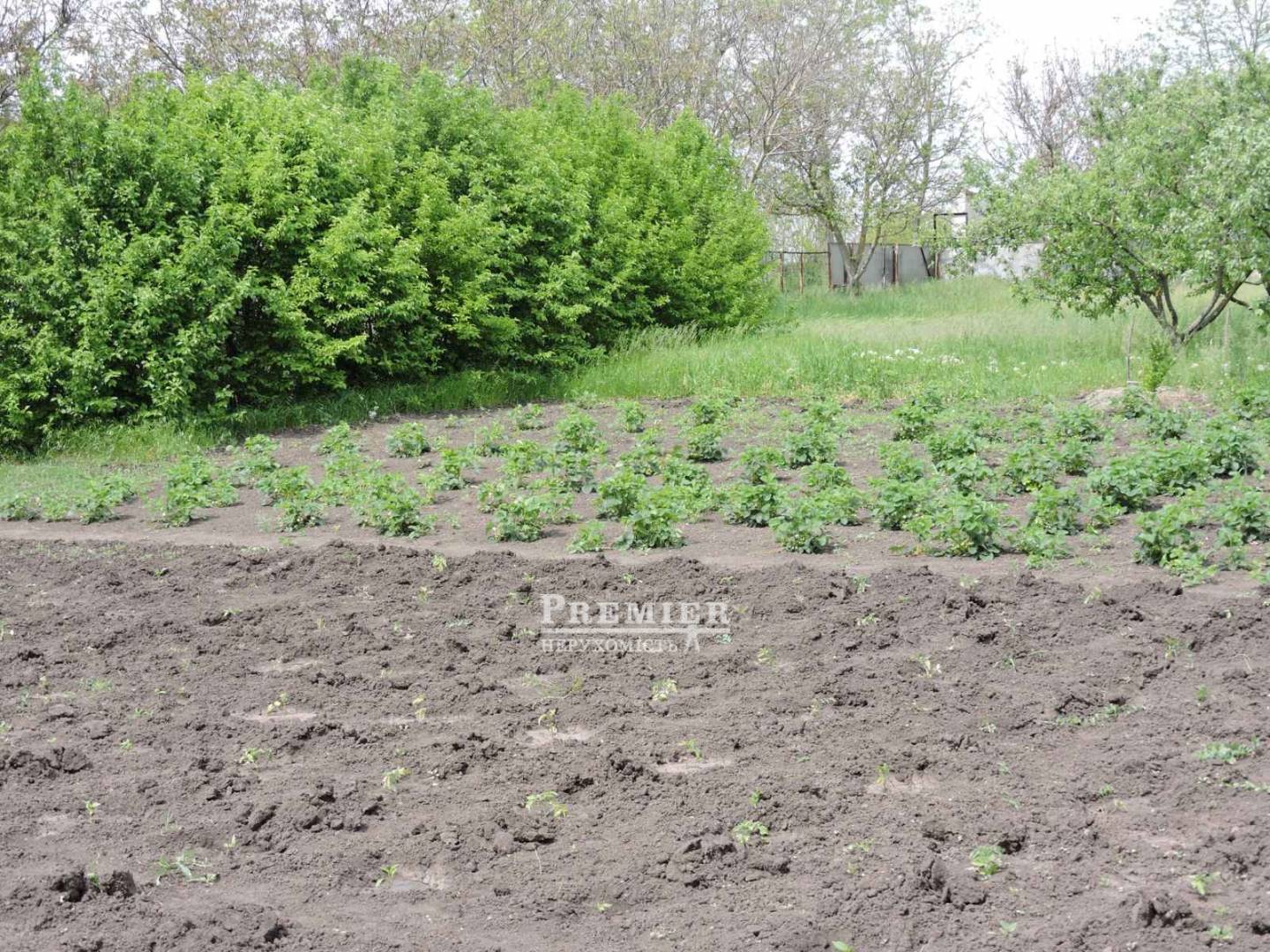 Продается Агропромышленный объект, Мира ул., Новоконстантиновка изображение 13