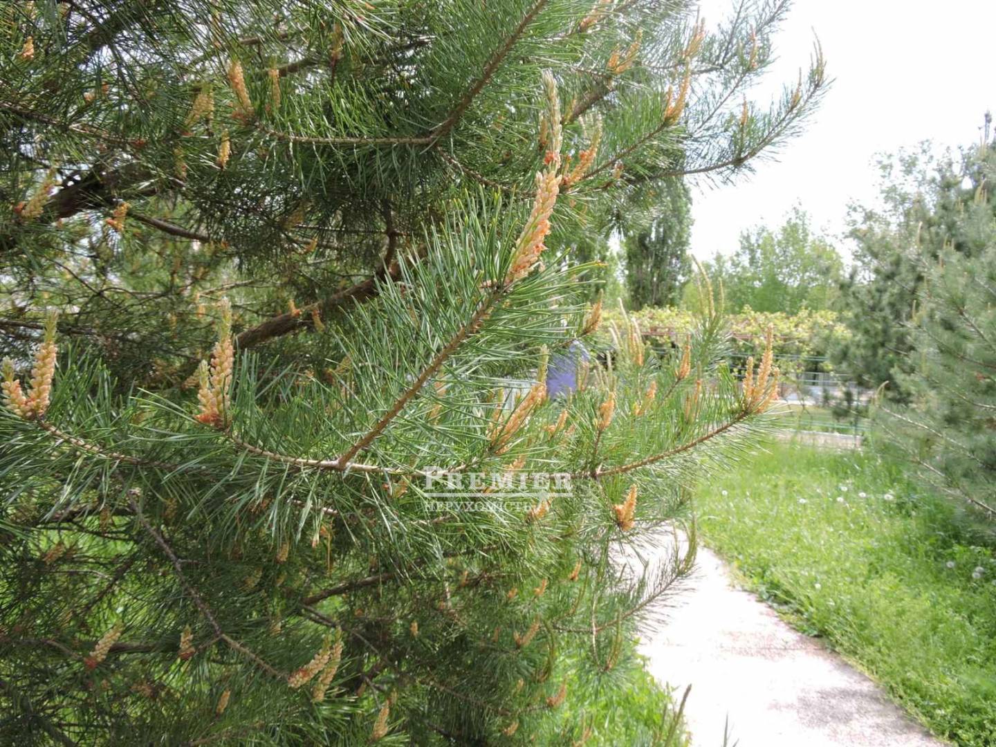 Продается Агропромышленный объект, Мира ул., Новоконстантиновка изображение 14