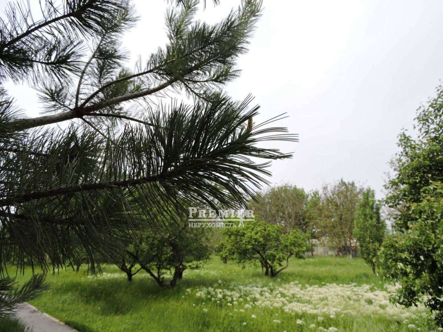 Продается Агропромышленный объект, Мира ул., Новоконстантиновка изображение 20