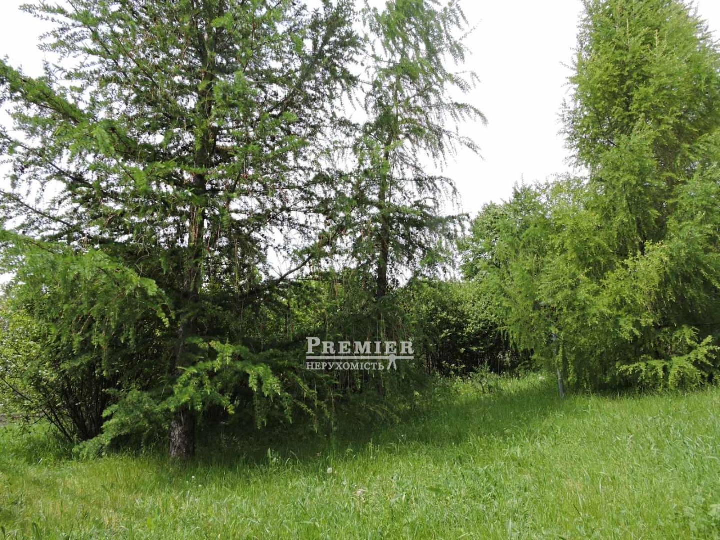 Продается Агропромышленный объект, Мира ул., Новоконстантиновка изображение 4