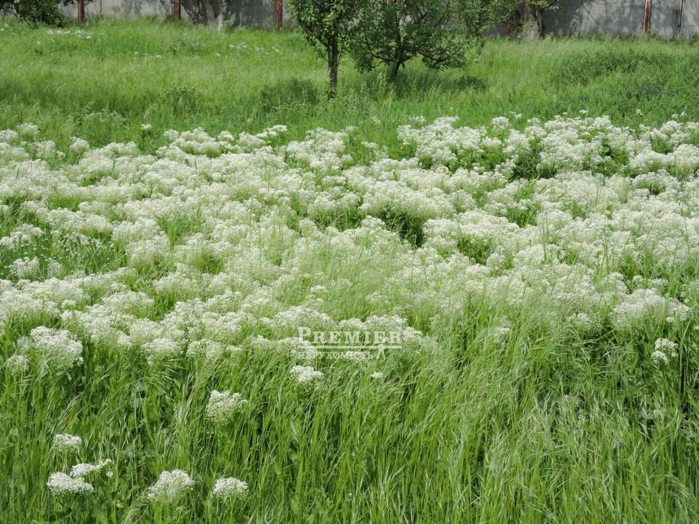 Продается Агропромышленный объект, Мира ул., Новоконстантиновка изображение 7