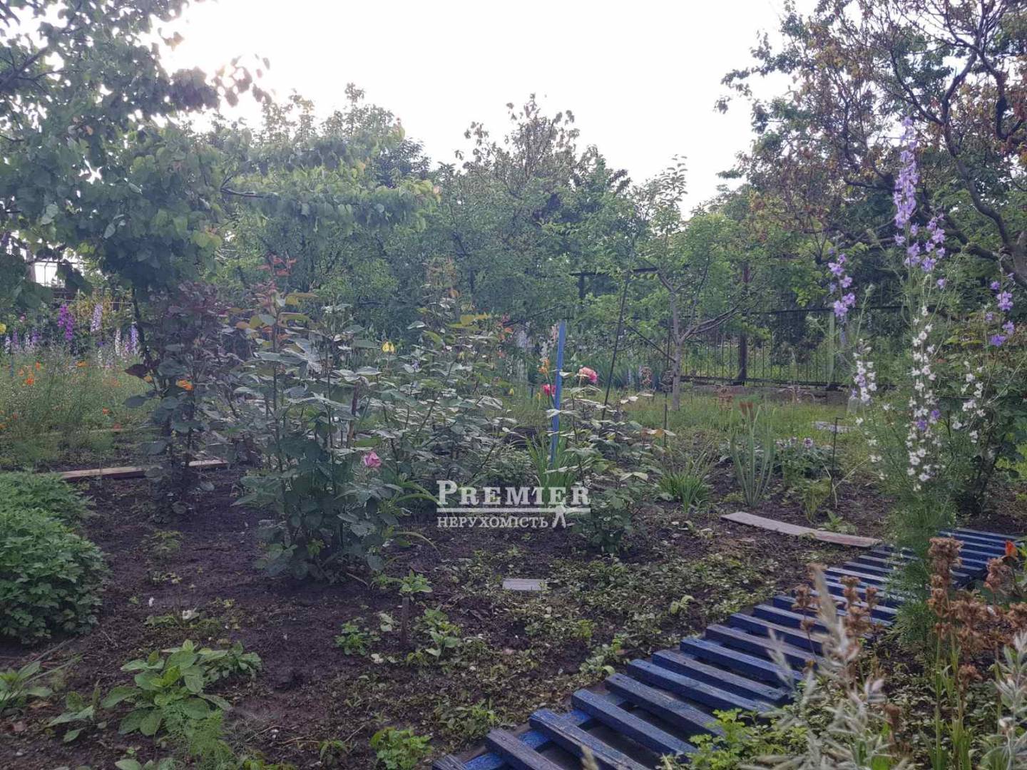 Продается Дом дача, Камышевая ул., г.Одесса изображение 5