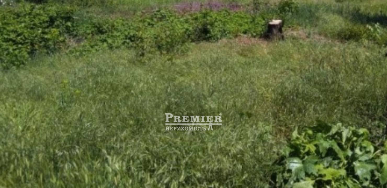 Продається Ділянка (под жилую застройку), Шевченко вул., Курисово (Петрівка) изображение 2