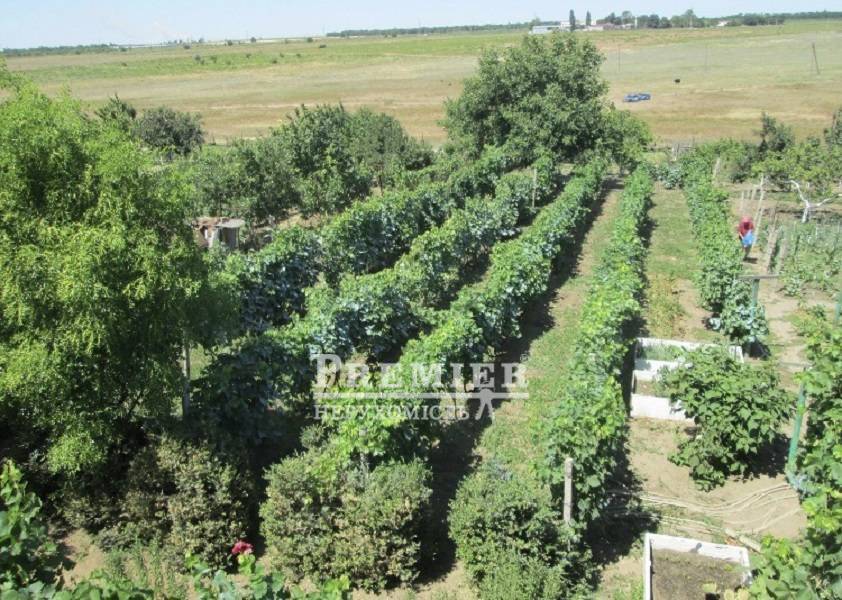 Продається Будинок дача, Садова вул., Шабо изображение 2