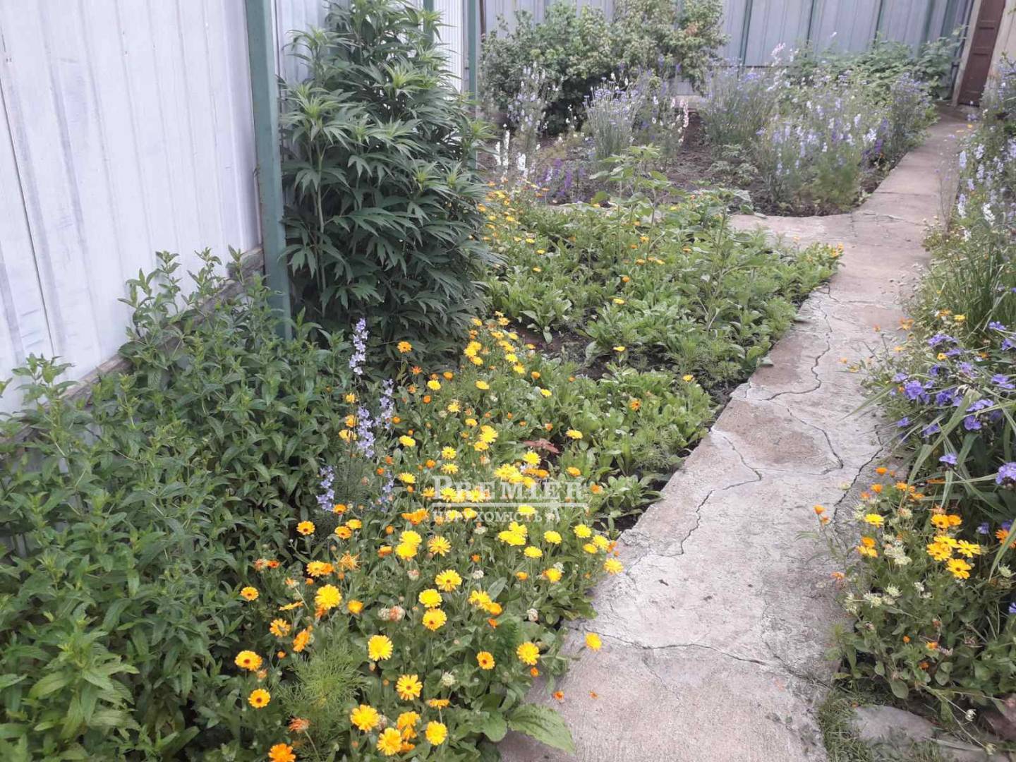 Продается Дом дача, Сенная ул., г.Одесса изображение 13