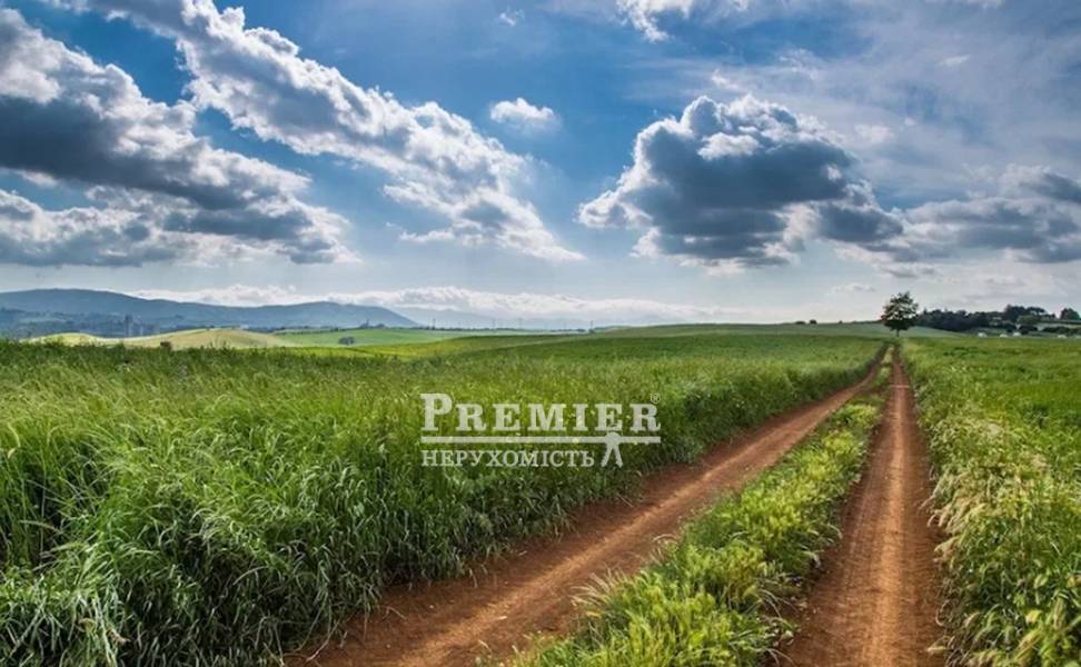 Продается Участок (сельхоз), Без улицы, Красносельский с/сов изображение 2