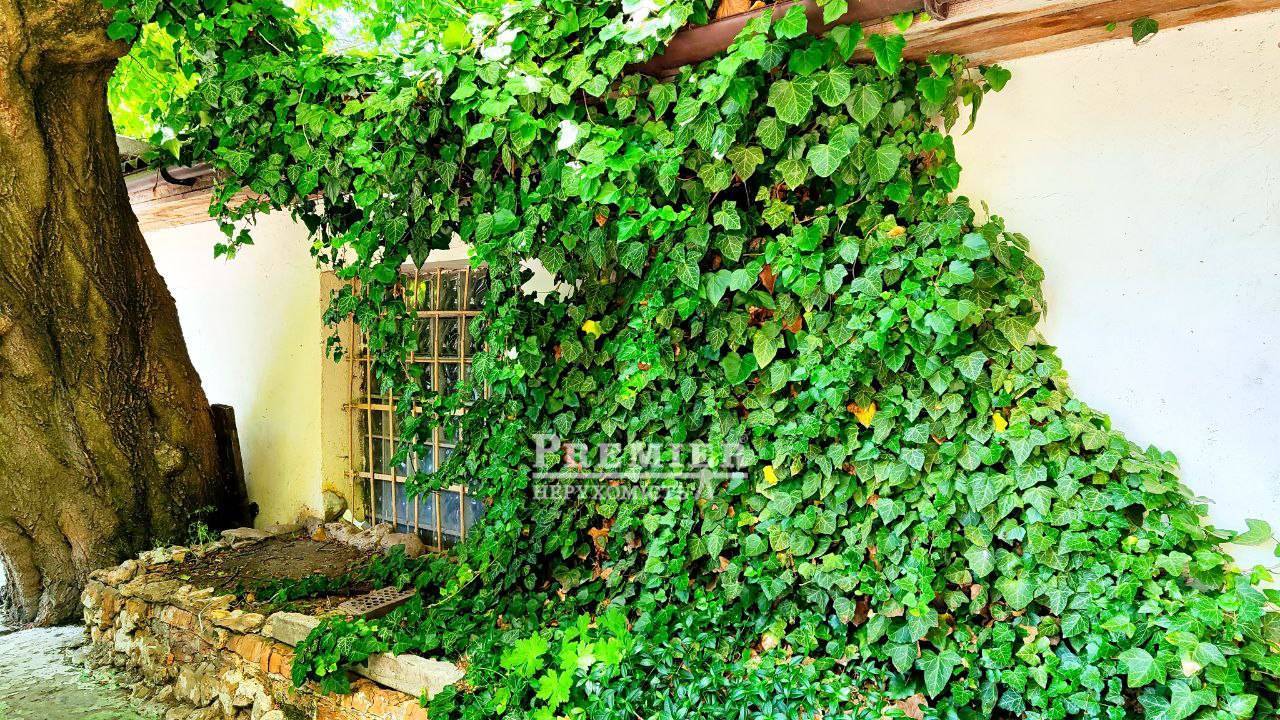 Продается Под любой вид деятельности, Шампанский пер., г.Одесса изображение 3