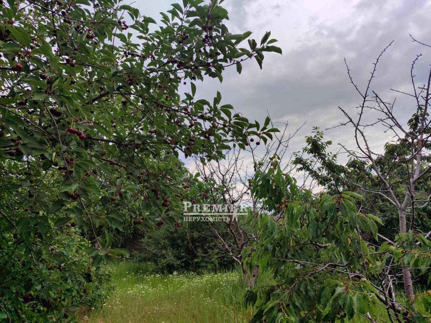 Продається Ділянка (под жилую застройку), Східна вул., Прилиманське изображение 2