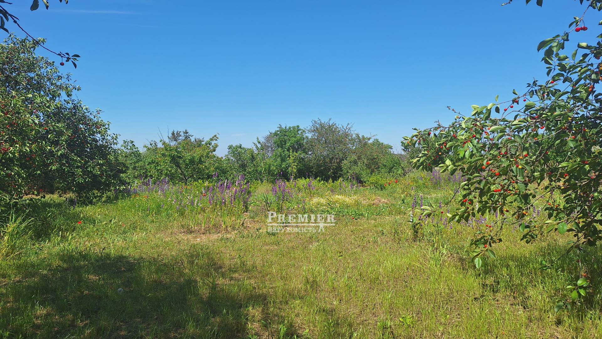 Продається Ділянка (садоводство), 5 лінія, Нова Долина, Парубій кооп изображение 1