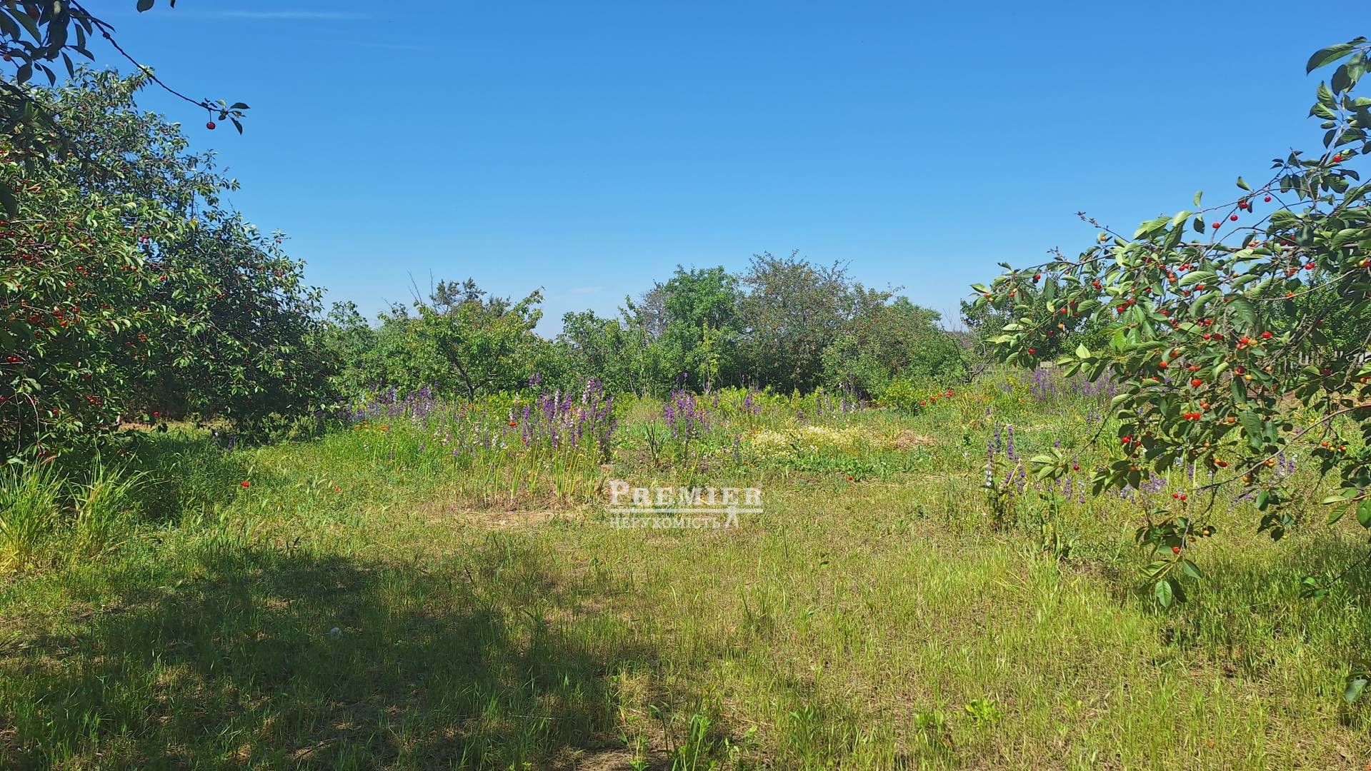 Продається Ділянка (садоводство), 5 лінія, Нова Долина, Парубій кооп изображение 2