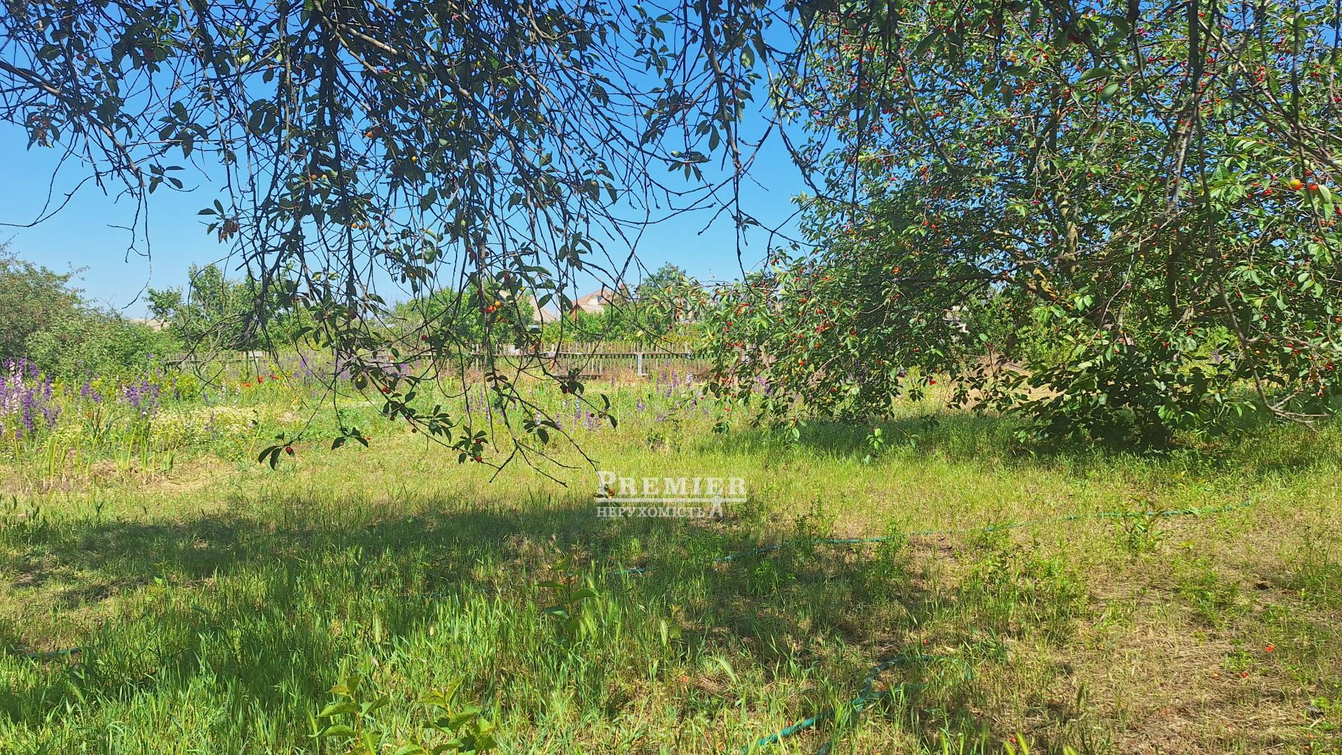 Продається Ділянка (садоводство), 5 лінія, Нова Долина, Парубій кооп изображение 3