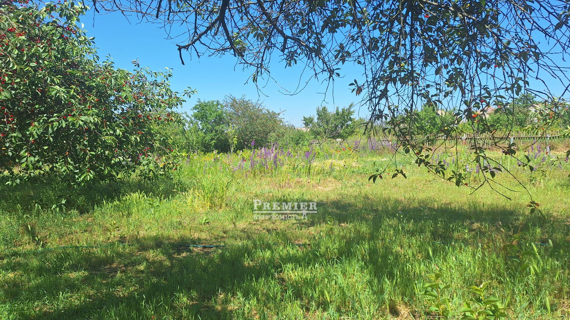 Продається Ділянка (садоводство), 5 лінія, Нова Долина, Парубій кооп изображение 4