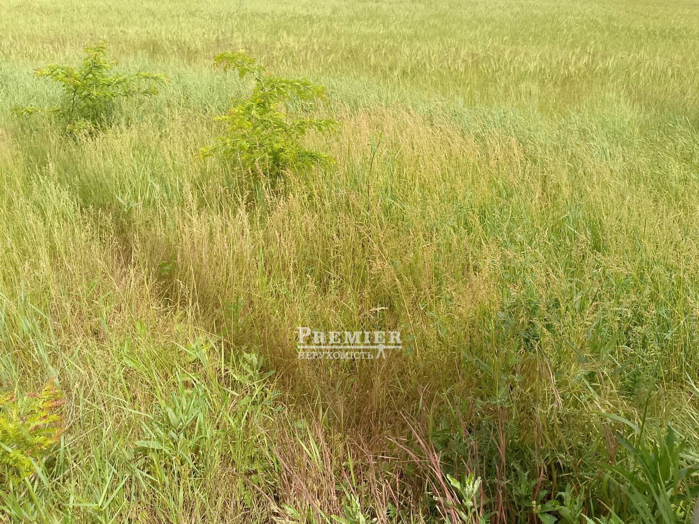 Продається Ділянка (под жилую застройку), Леніна вул., Дальник изображение 1