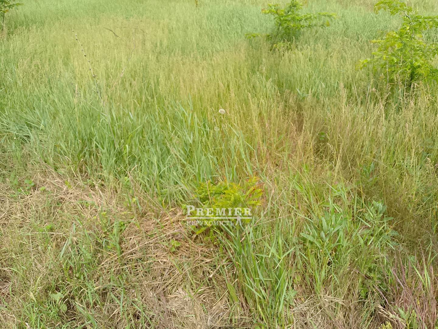 Продається Ділянка (под жилую застройку), Леніна вул., Дальник изображение 2