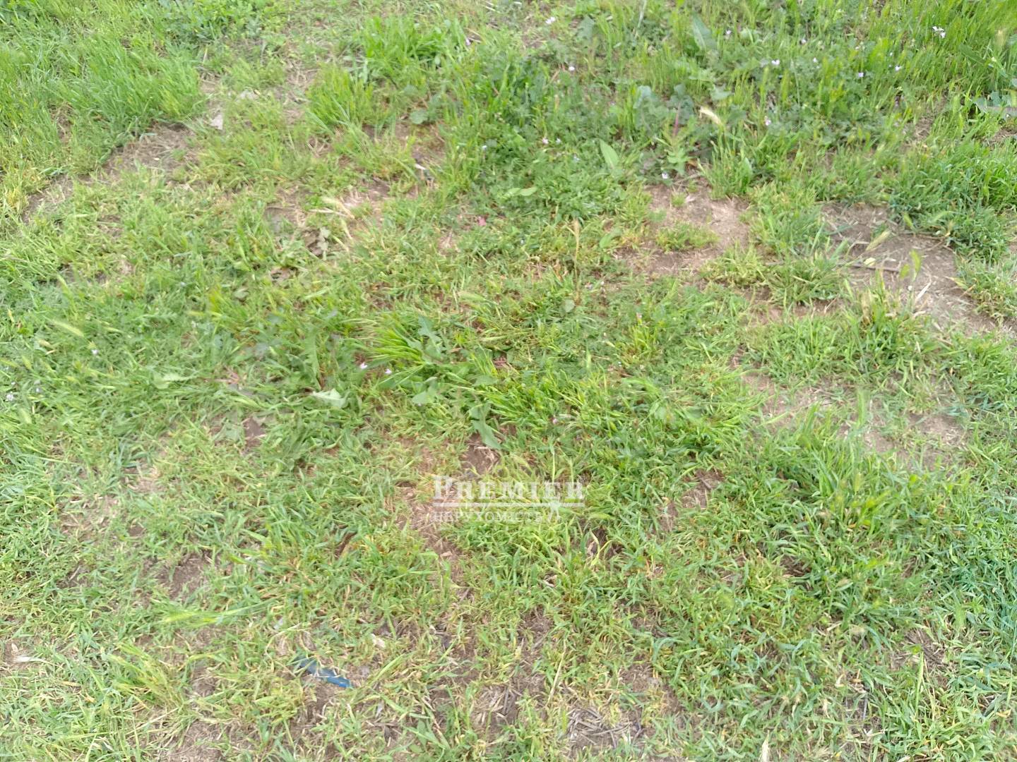 Продається Ділянка (под жилую застройку), Леніна вул., Дальник изображение 3