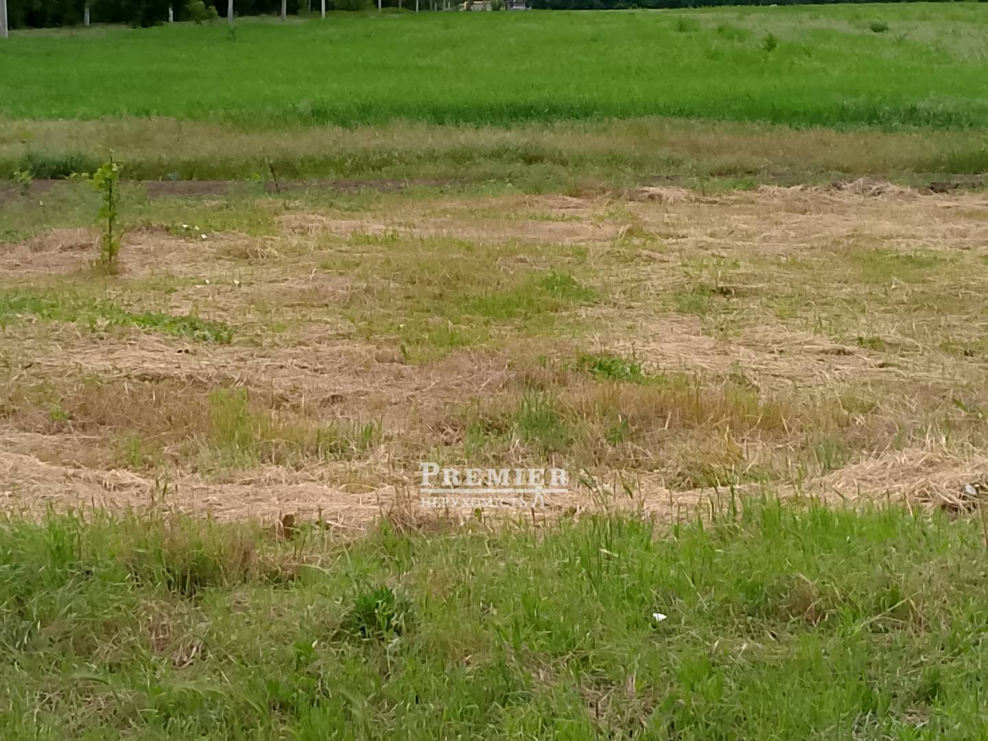 Продається Ділянка (под жилую застройку), Леніна вул., Дальник изображение 5