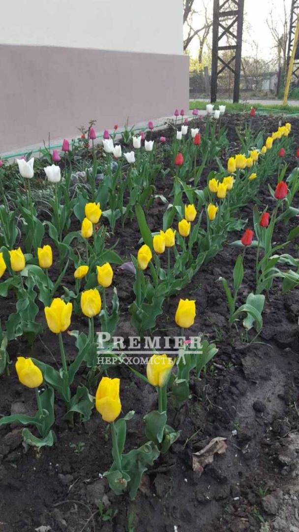 Продається 2кімнатна квартира, 3-й Вапняний пров., м.Одеса изображение 2