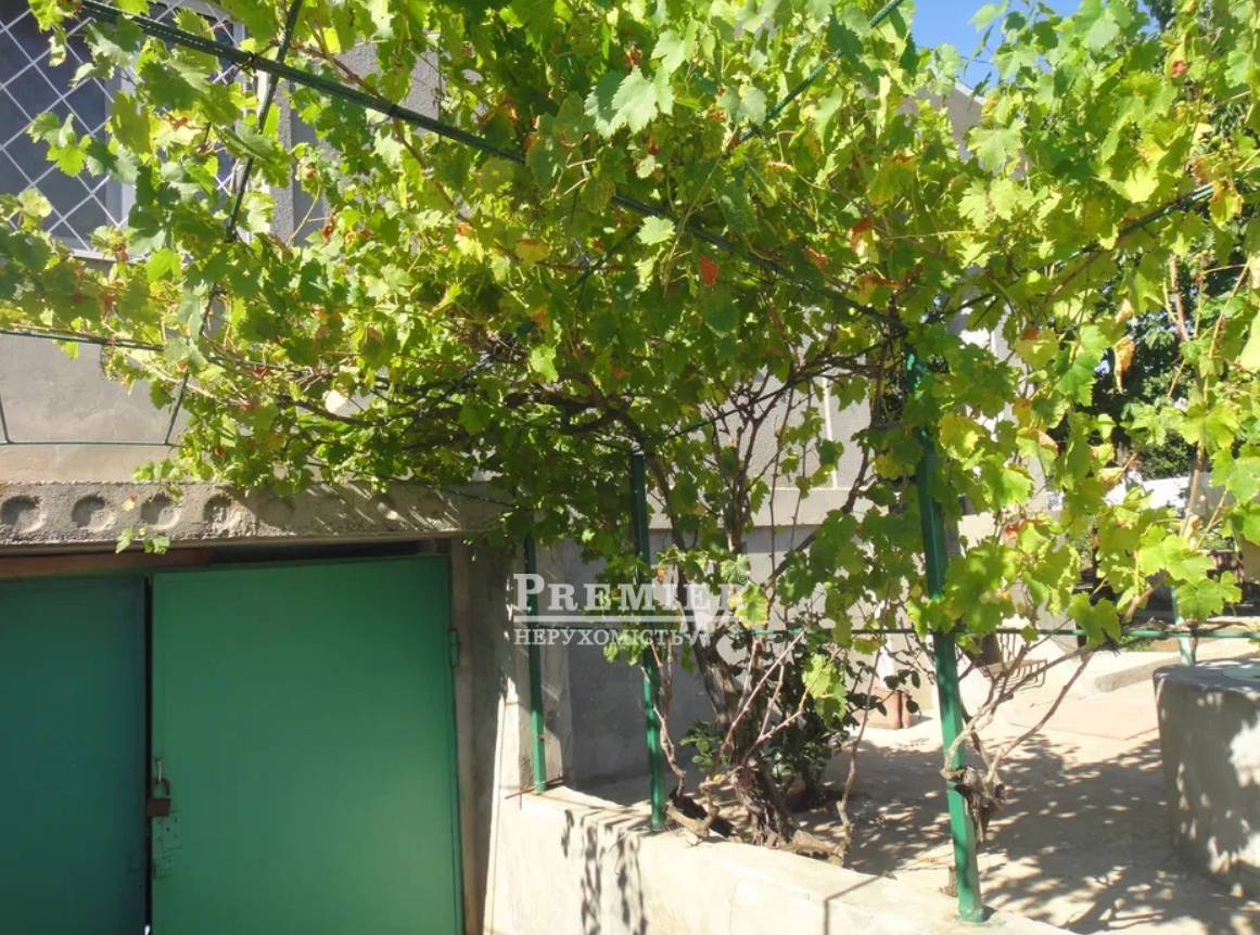 Продається Будинок дача, Айвовий вул., Нова Дофінівка изображение 2