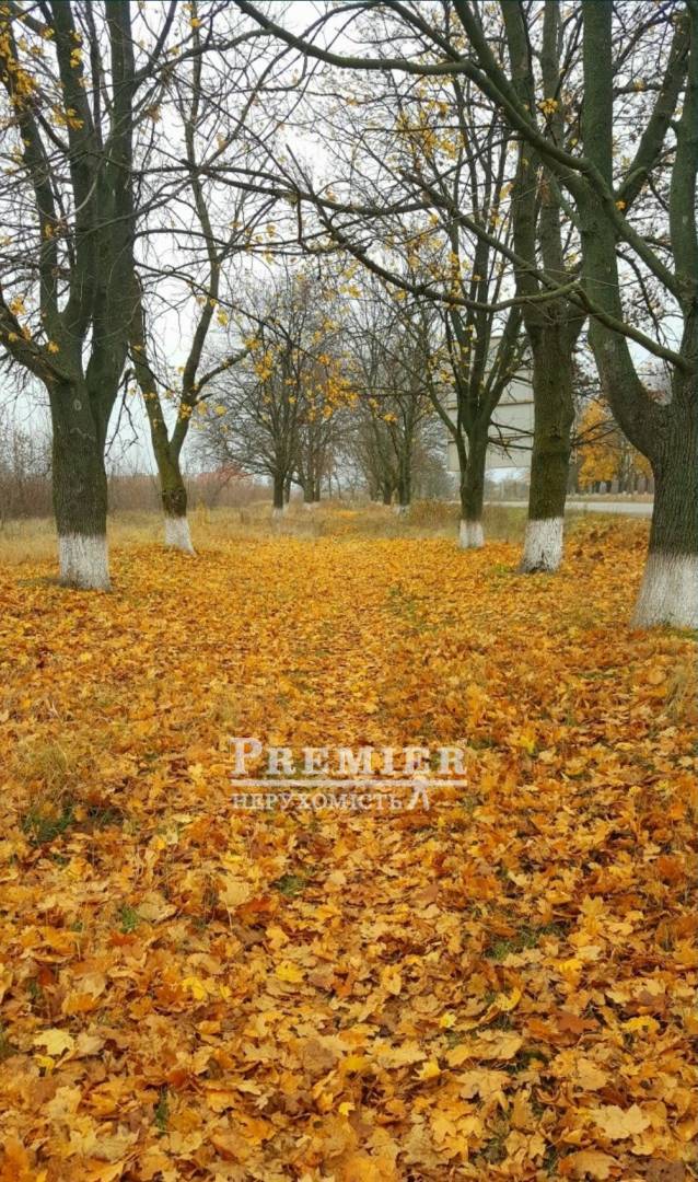 Продається Будинок дача, ПРИЛИМАНСЬКИЙ вул., Холодна Балка изображение 23