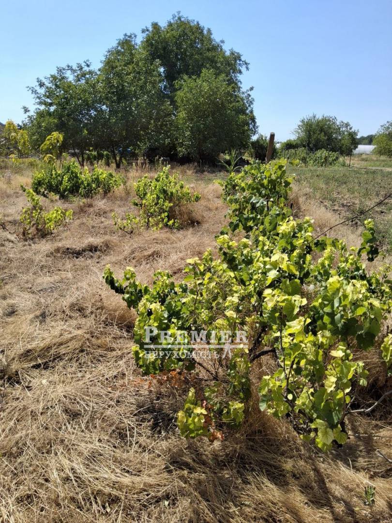 Продається Будинок дача, Нова вул., Березань изображение 8
