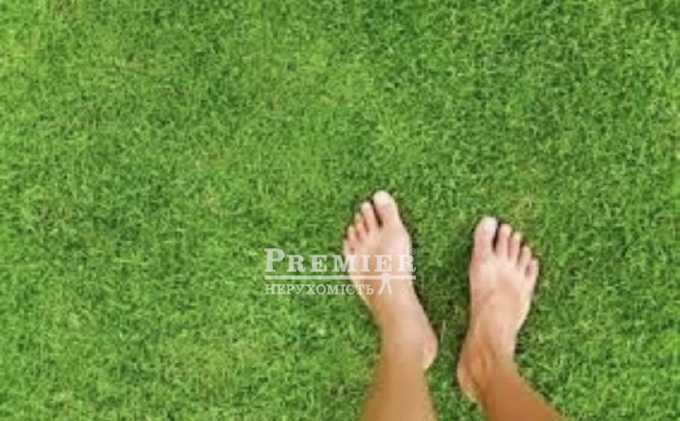 Продається Ділянка (сельхоз), Кірова вул., Яськи изображение 3