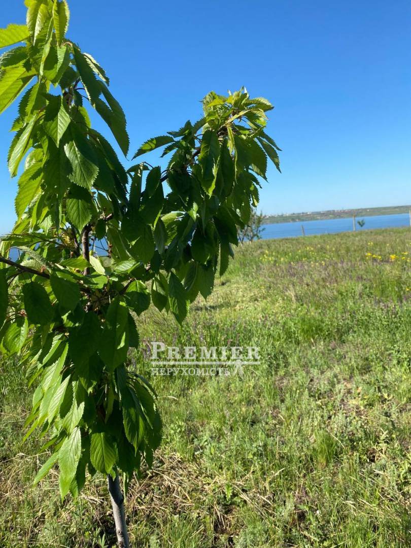 Продается Участок (под жилую застройку), Школьная ул., Беленькое изображение 2