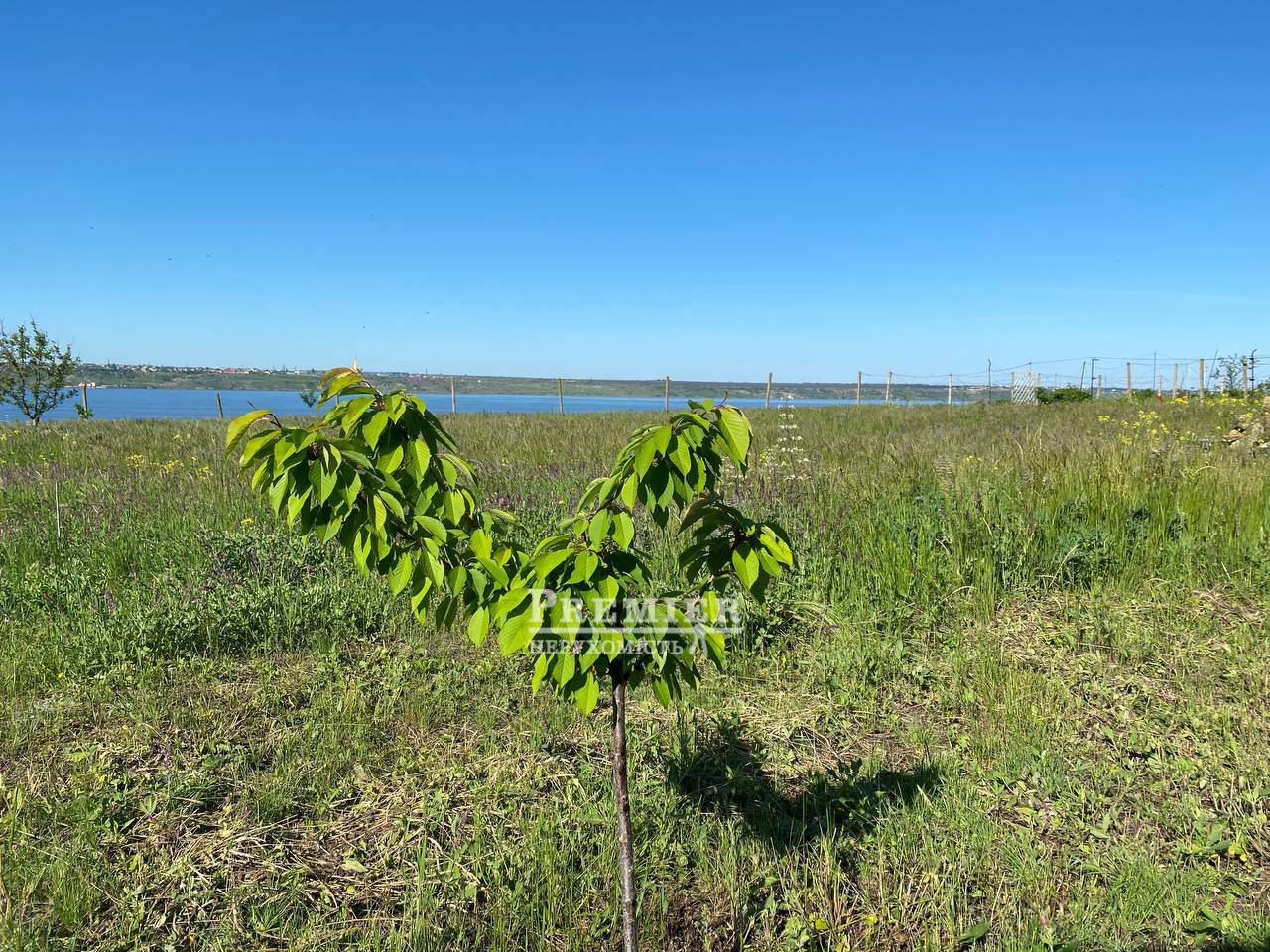 Продается Участок (под жилую застройку), Школьная ул., Беленькое изображение 4
