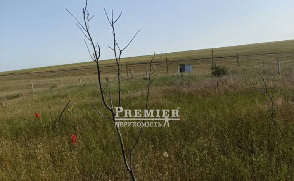 Продається Ділянка (сельхоз), без вулиці, Красносельська с/рада изображение 3