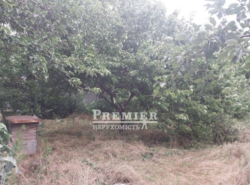 Продається Будинок дача, Шкільна вул., Нова Некрасівка изображение 7