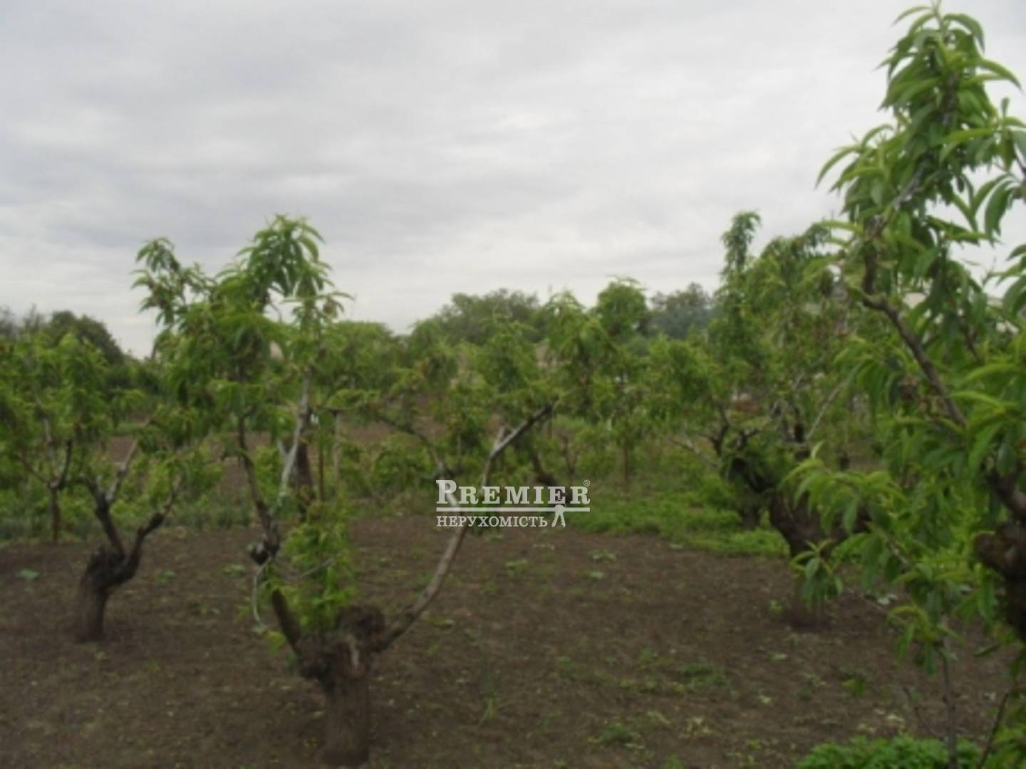 Продається Ділянка (под жилую застройку), Чорноморців вул., Сухий Лиман изображение 3