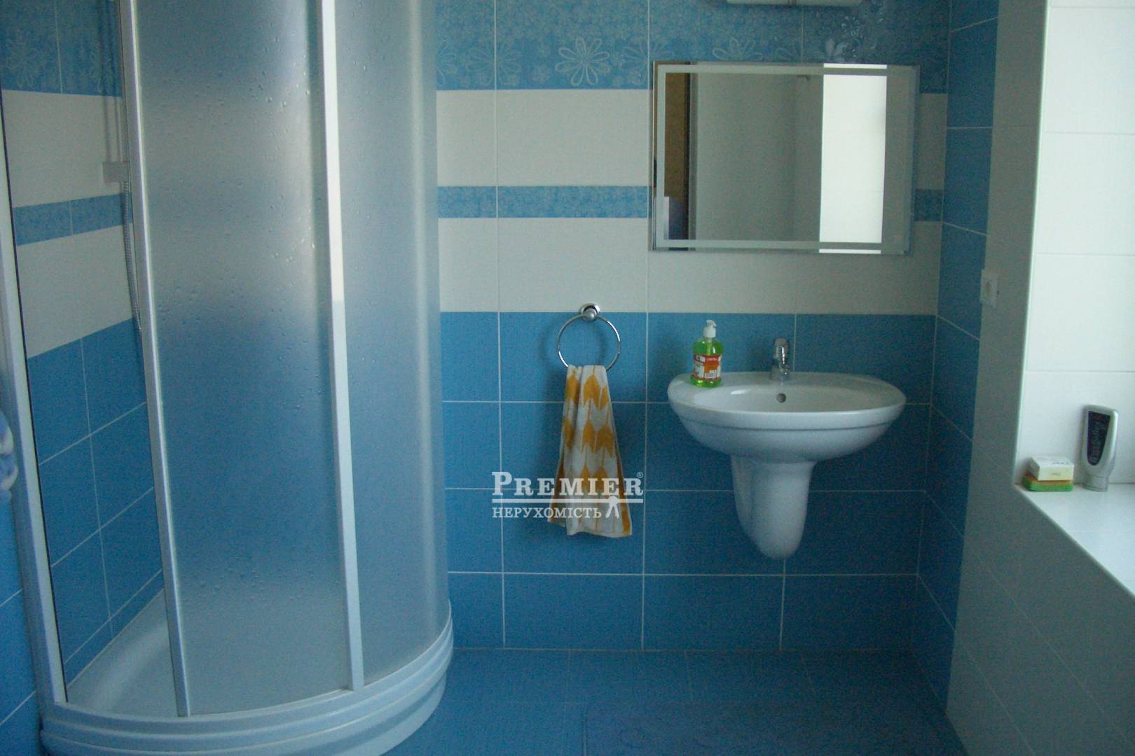 Продається Будинок дача, Центральна вул., Санжейка изображение 5