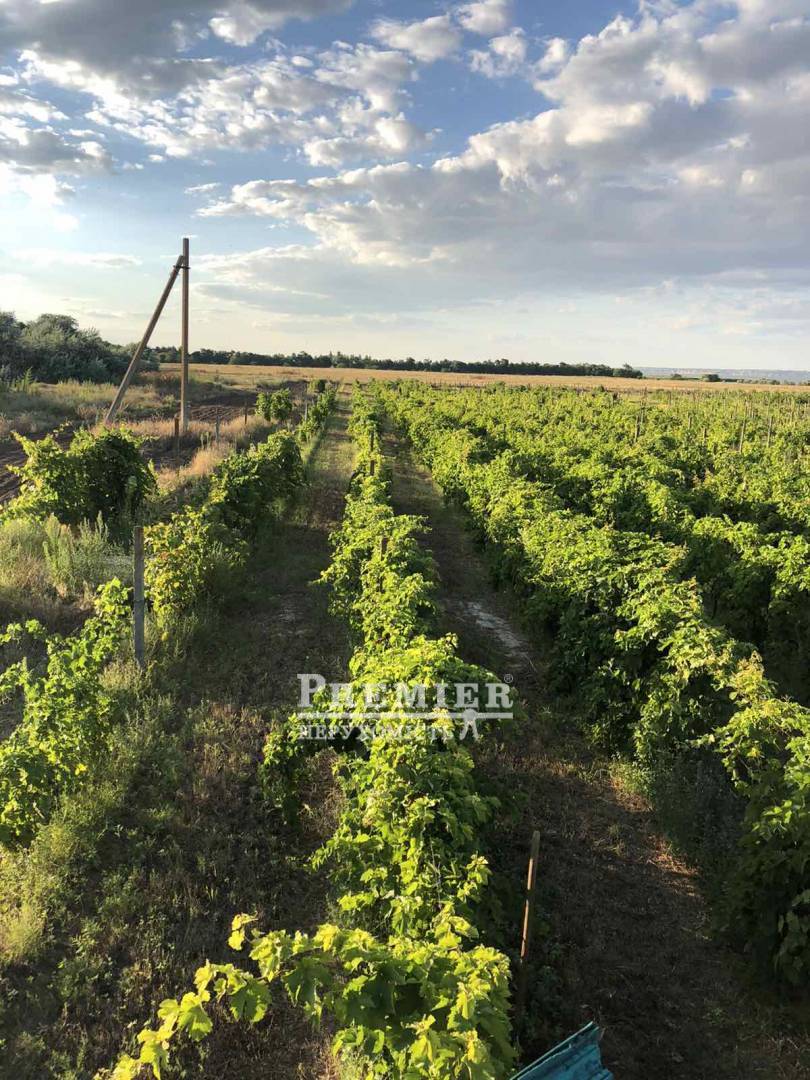 Продається Ділянка (сельхоз), масив 13, Шабський с/сов изображение 1