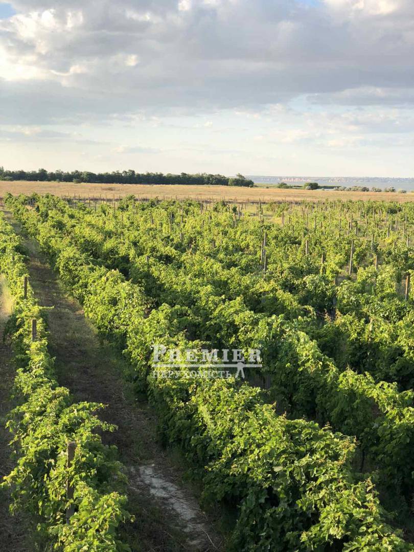 Продається Ділянка (сельхоз), масив 13, Шабський с/сов изображение 3