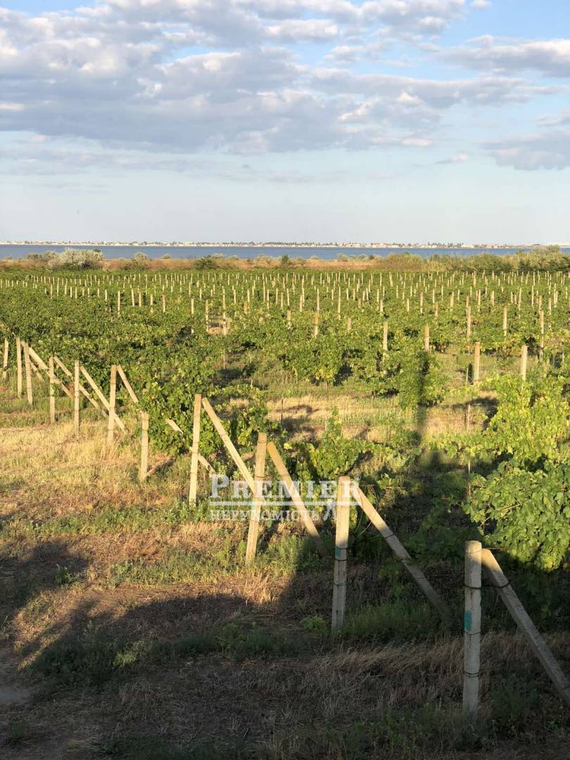 Продається Ділянка (сельхоз), масив 13, Шабський с/сов изображение 4