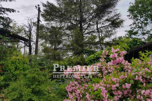 Фото об'єкта