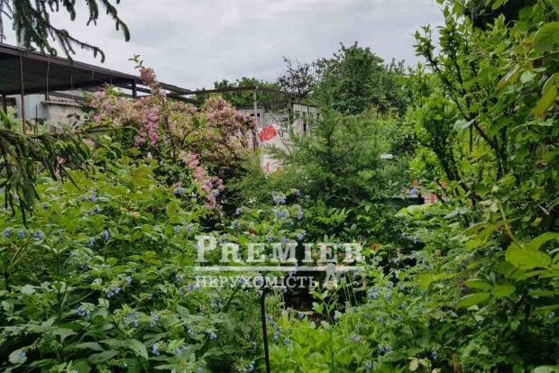 Фото об'єкта