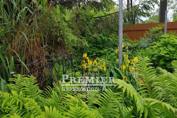 Фото об'єкта