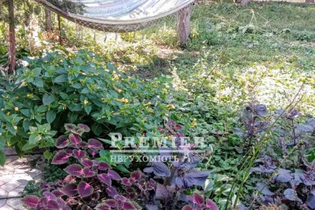 Фото об'єкта