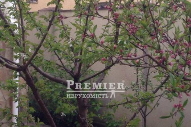 Фото об'єкта