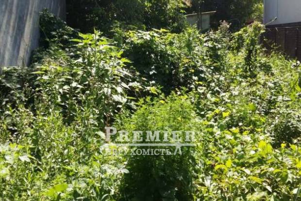 Фото об'єкта