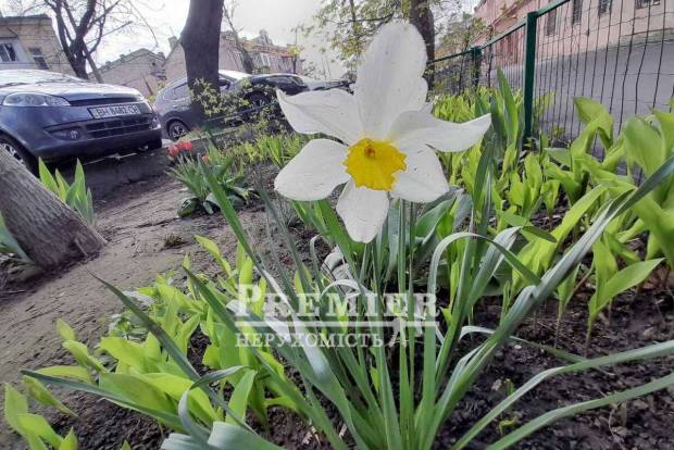 Фото об'єкта