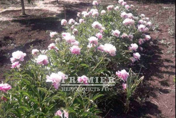 Фото об'єкта