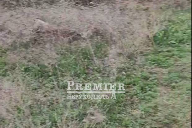 Фото об'єкта