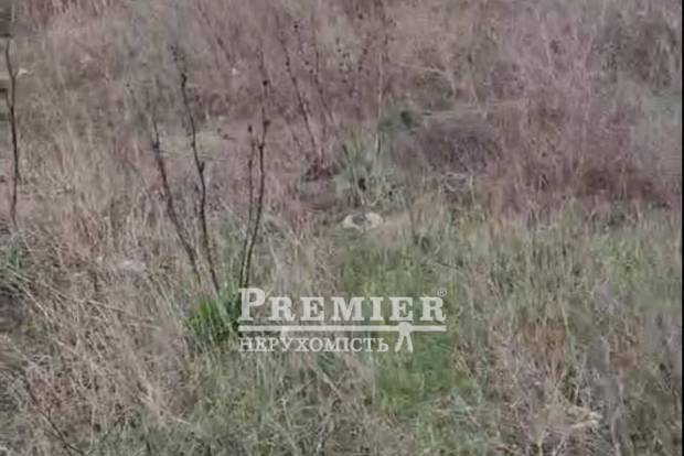 Фото об'єкта