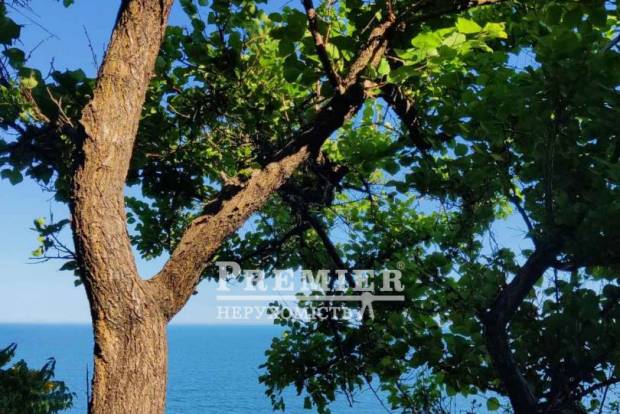 Фото об'єкта