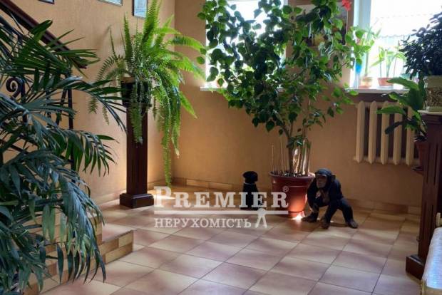 Фото об'єкта