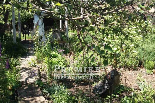 Фото об'єкта