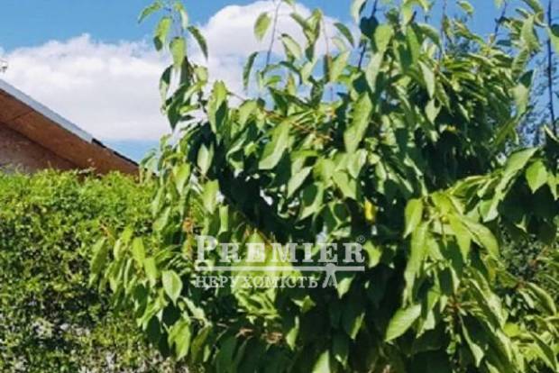 Фото об'єкта