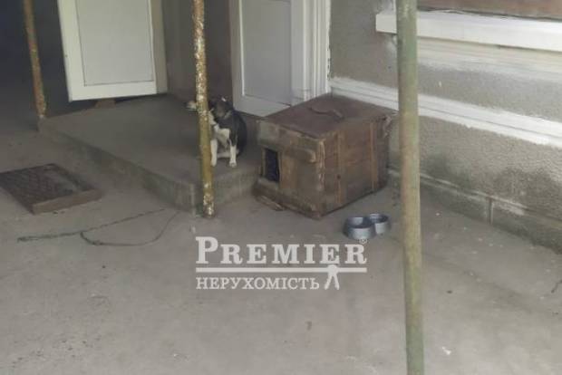 Фото объекта