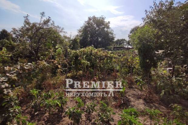 Фото об'єкта